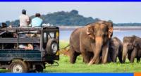 සංචාරකයින් පැමිණීම 1,460,000 ඉක්මවයි...